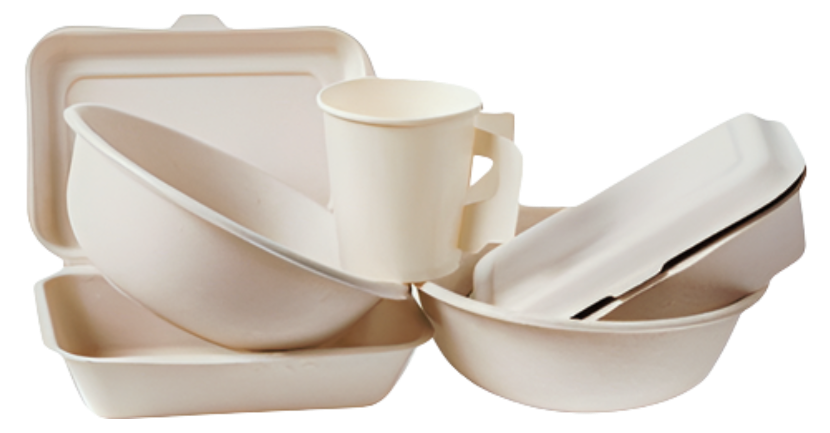Disposable Tableware