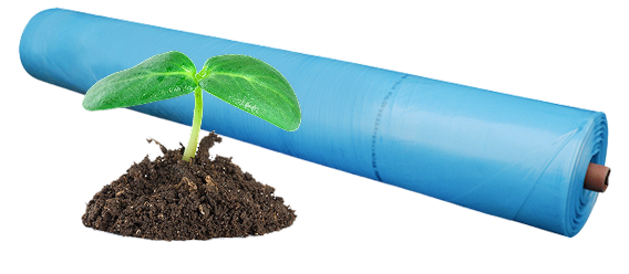 Eco - Friendly Materials